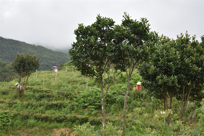 基地風采