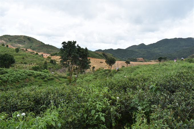 基地風采