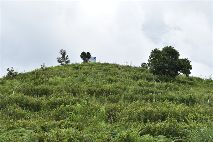 基地風(fēng)采